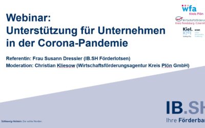 Webinar „Unterstützung für Unternehmen in der Corona Pandemie“